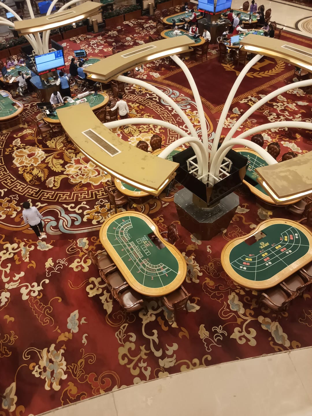 中国十大千年古树,你知道几棵